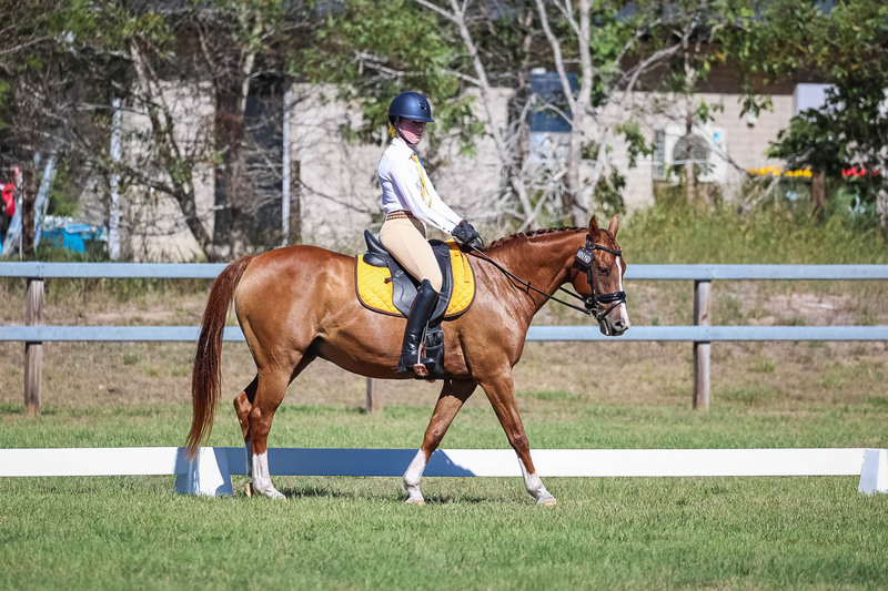 JPC Feb 2026 Dressage-7158.jpg