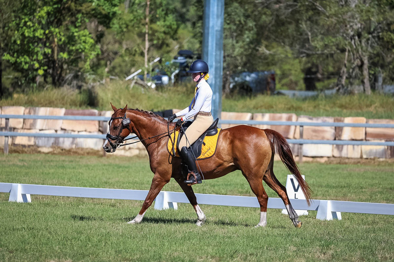JPC Feb 2026 Dressage-7159.jpg