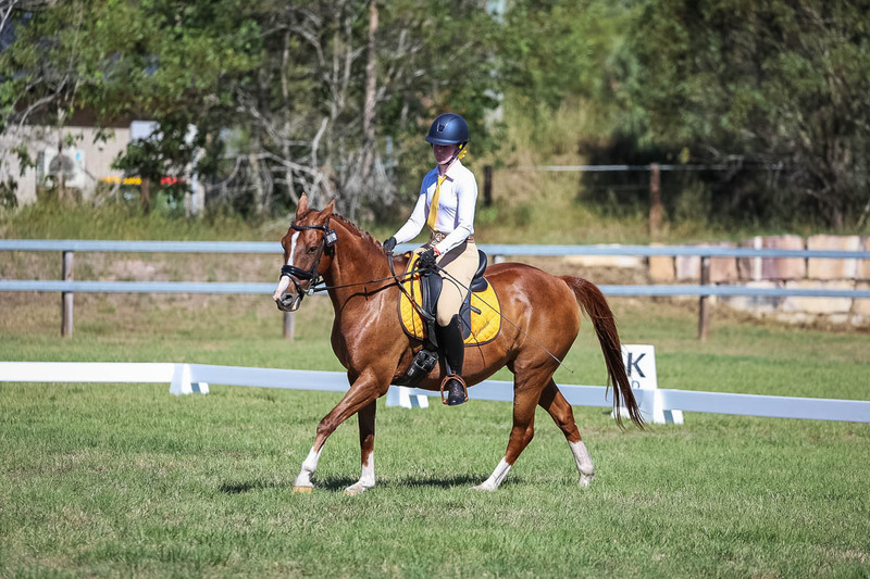 JPC Feb 2026 Dressage-7161.jpg