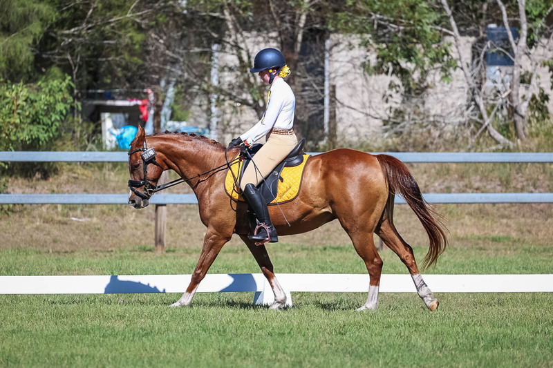 JPC Feb 2026 Dressage-7162.jpg