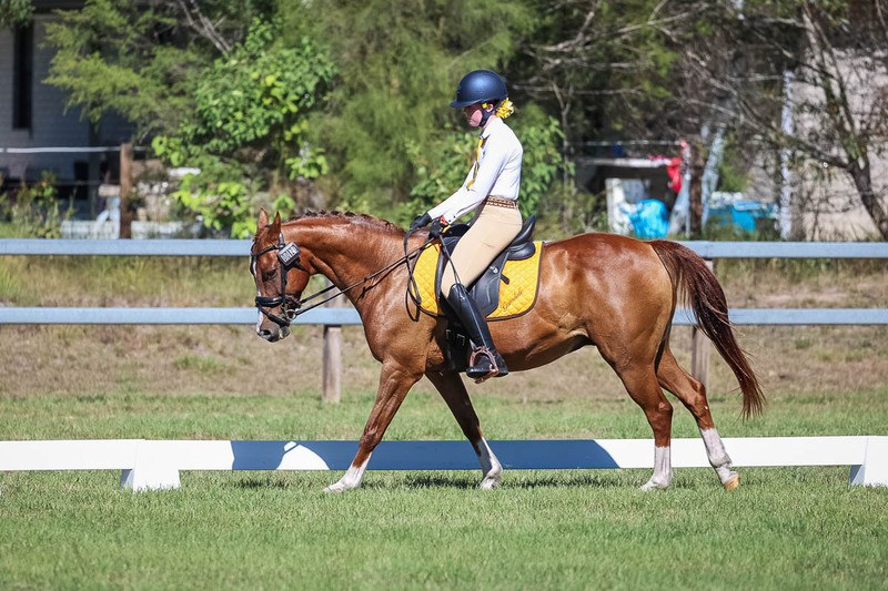 JPC Feb 2026 Dressage-7163.jpg