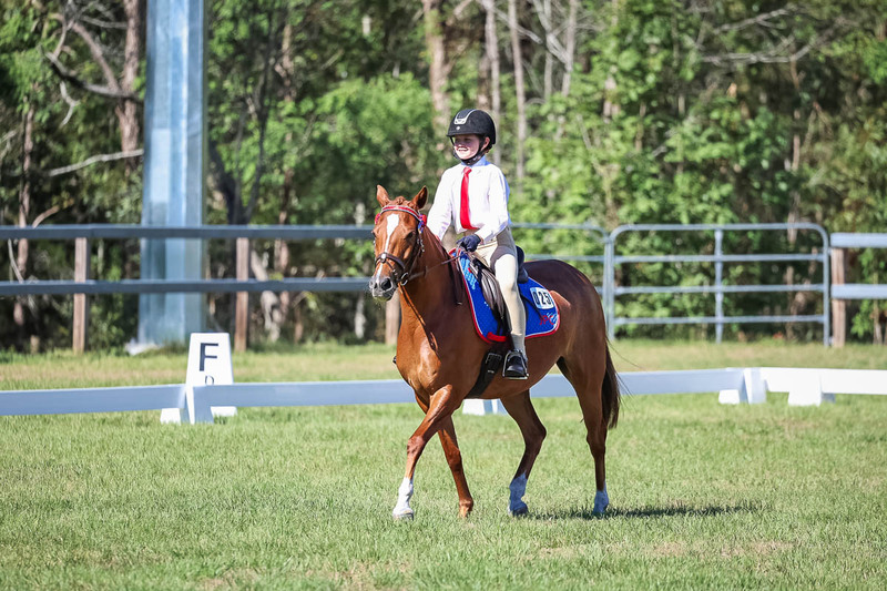 JPC Feb 2026 Dressage-7164.jpg