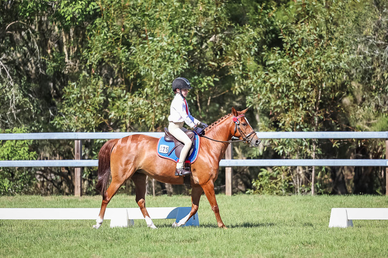 JPC Feb 2026 Dressage-7166.jpg