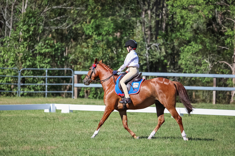 JPC Feb 2026 Dressage-7167.jpg