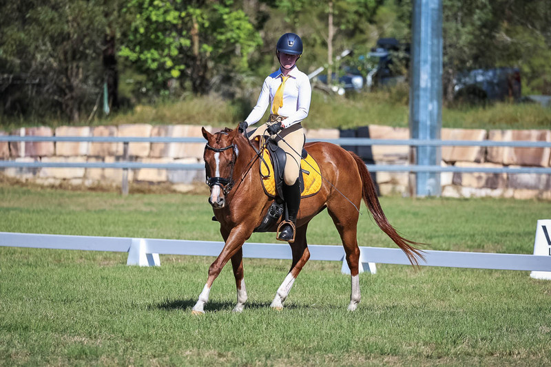 JPC Feb 2026 Dressage-7169.jpg