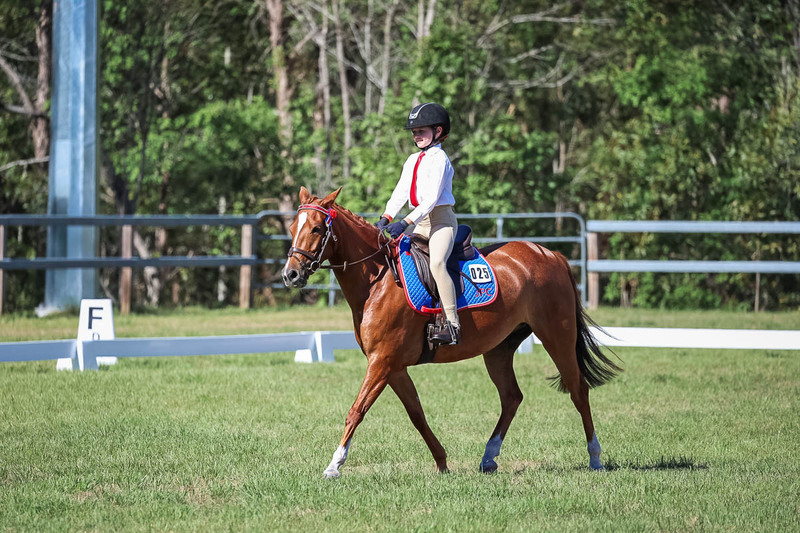 JPC Feb 2026 Dressage-7170.jpg