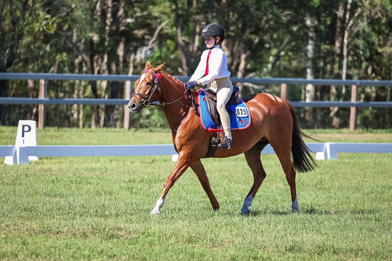 JPC Feb 2026 Dressage-7172.jpg