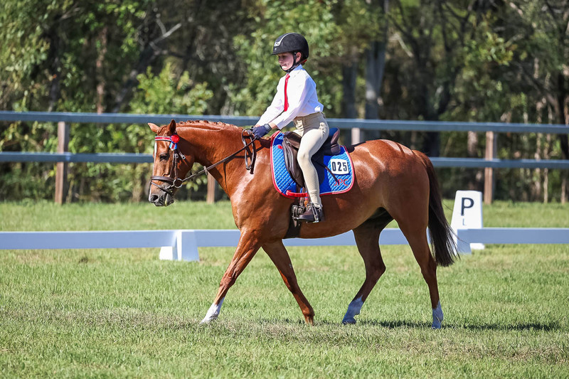 JPC Feb 2026 Dressage-7173.jpg