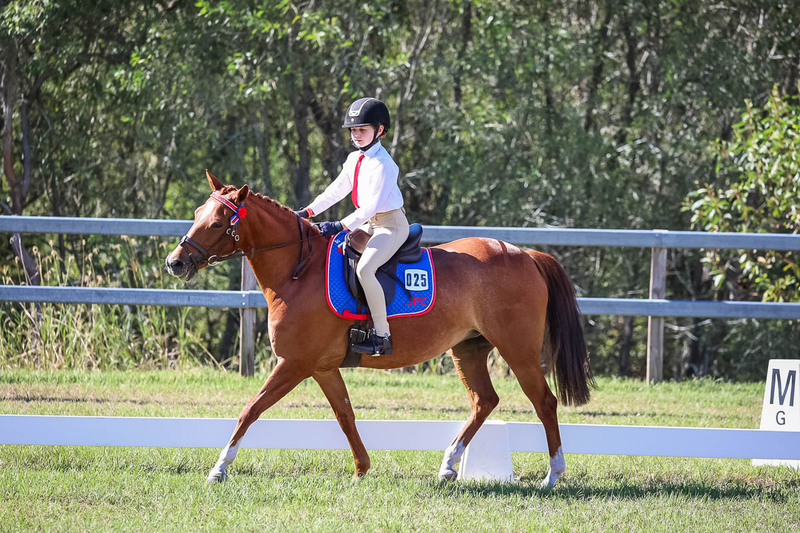 JPC Feb 2026 Dressage-7174.jpg