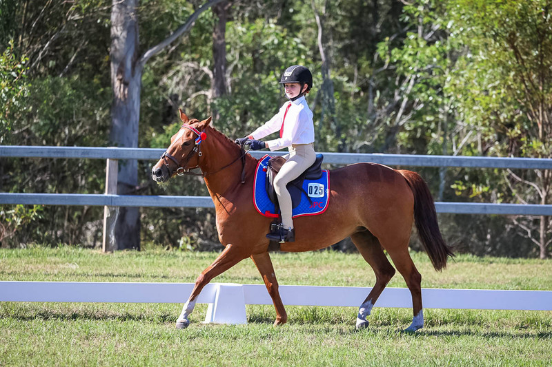 JPC Feb 2026 Dressage-7175.jpg