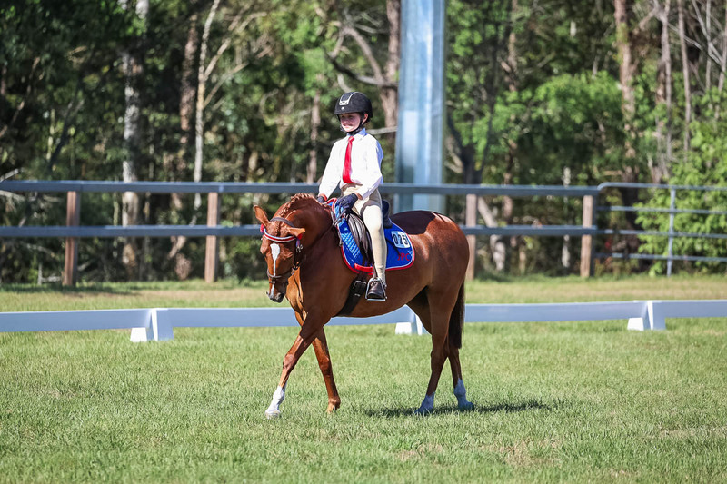 JPC Feb 2026 Dressage-7176.jpg