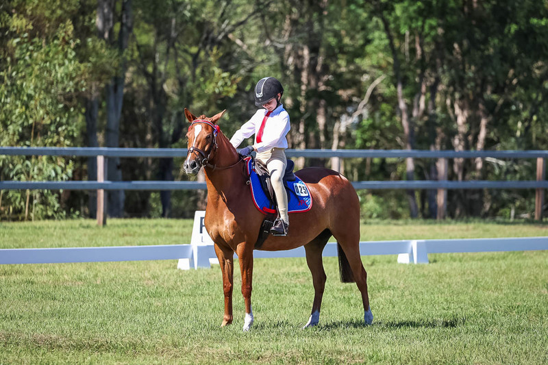 JPC Feb 2026 Dressage-7177.jpg