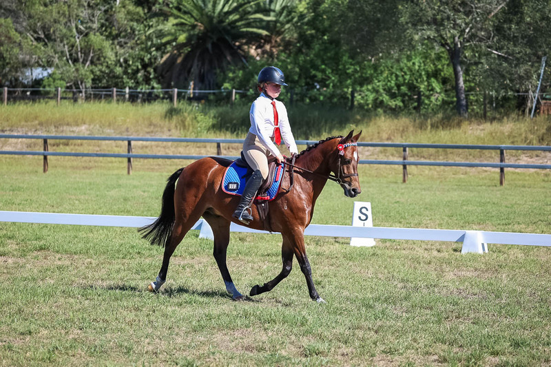 JPC Feb 2026 Dressage-7179.jpg