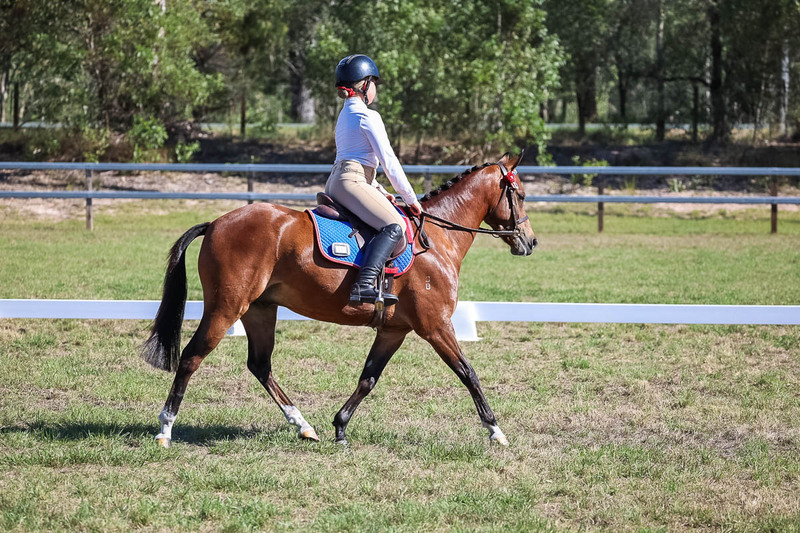 JPC Feb 2026 Dressage-7181.jpg