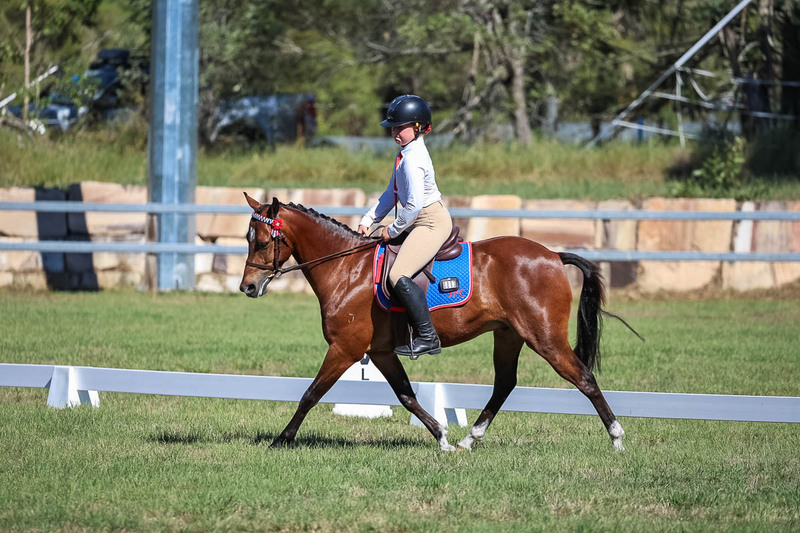 JPC Feb 2026 Dressage-7182.jpg