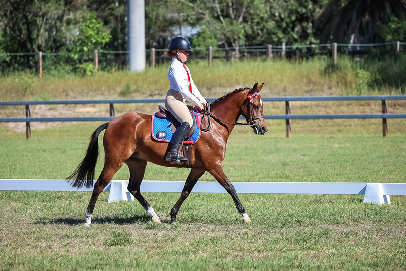 JPC Feb 2026 Dressage-7185.jpg