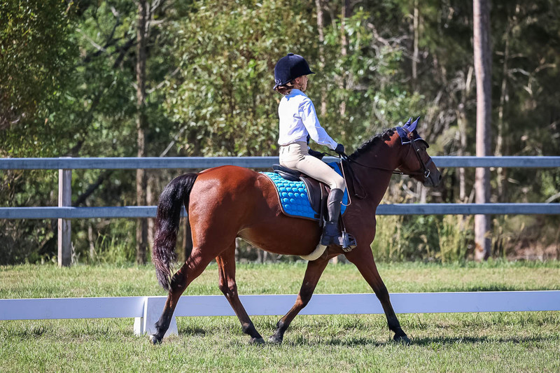 JPC Feb 2026 Dressage-7187.jpg