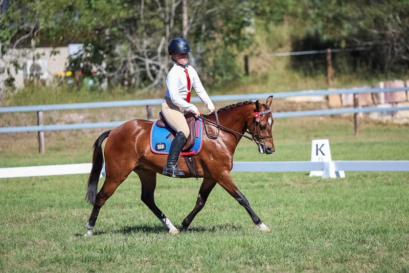 JPC Feb 2026 Dressage-7188.jpg