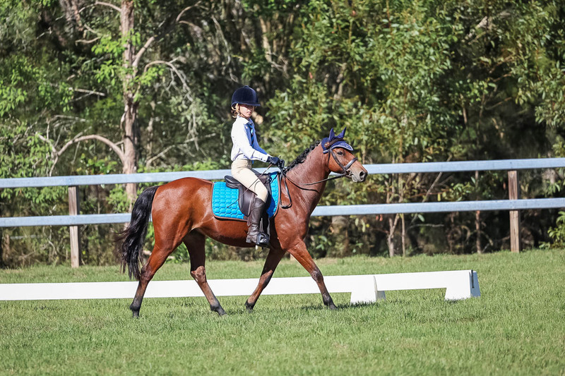 JPC Feb 2026 Dressage-7189.jpg