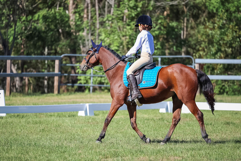 JPC Feb 2026 Dressage-7190.jpg