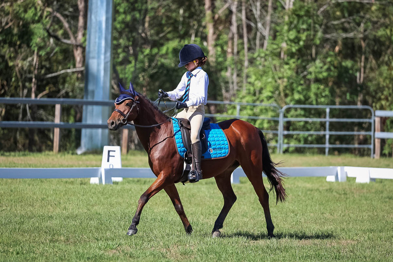 JPC Feb 2026 Dressage-7193.jpg