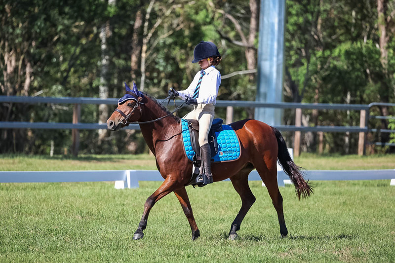 JPC Feb 2026 Dressage-7194.jpg