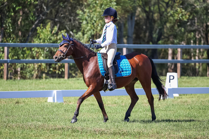 JPC Feb 2026 Dressage-7195.jpg