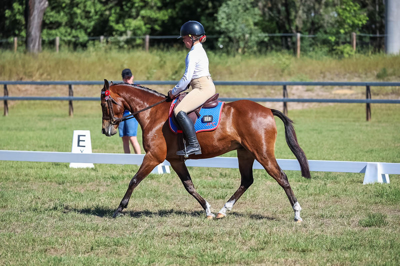 JPC Feb 2026 Dressage-7196.jpg