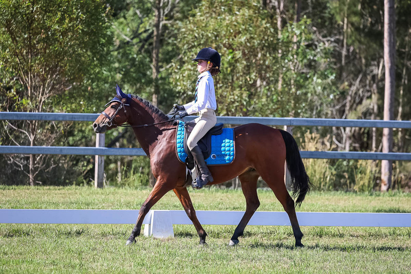 JPC Feb 2026 Dressage-7198.jpg