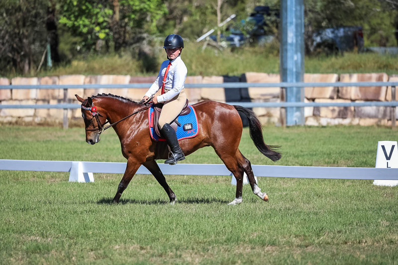 JPC Feb 2026 Dressage-7200.jpg