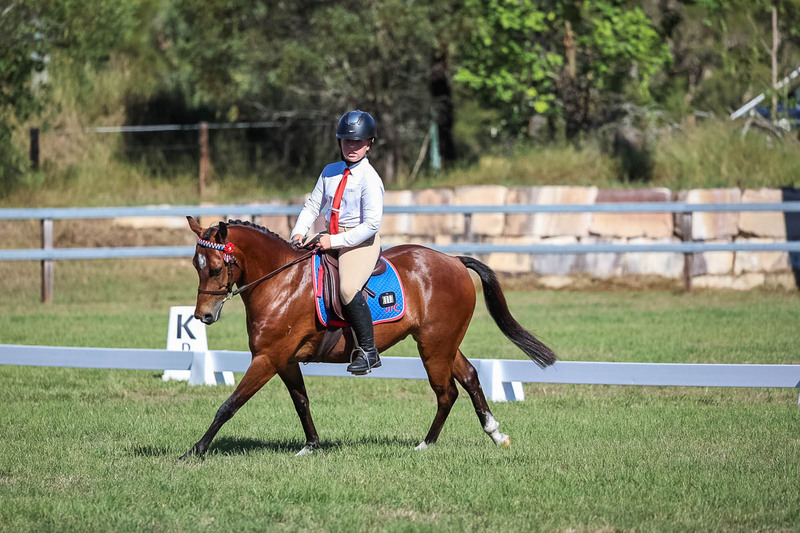 JPC Feb 2026 Dressage-7201.jpg