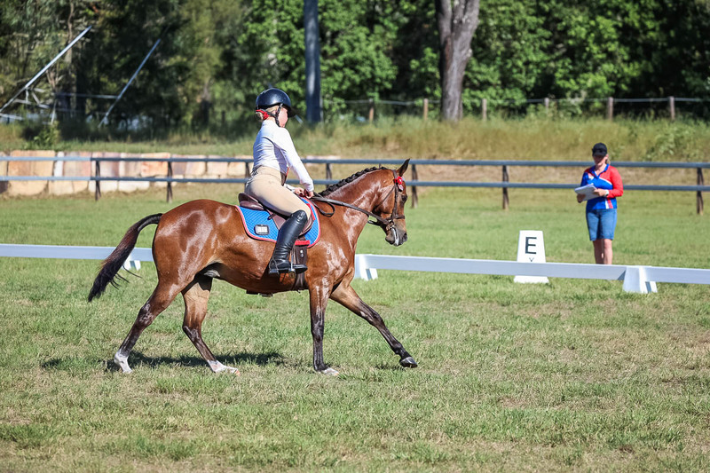 JPC Feb 2026 Dressage-7202.jpg