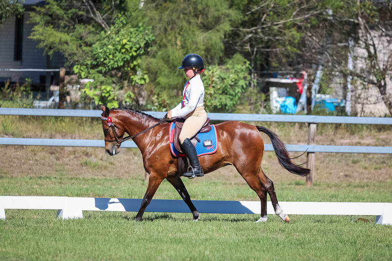 JPC Feb 2026 Dressage-7203.jpg