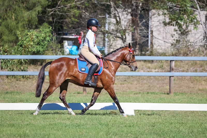 JPC Feb 2026 Dressage-7206.jpg