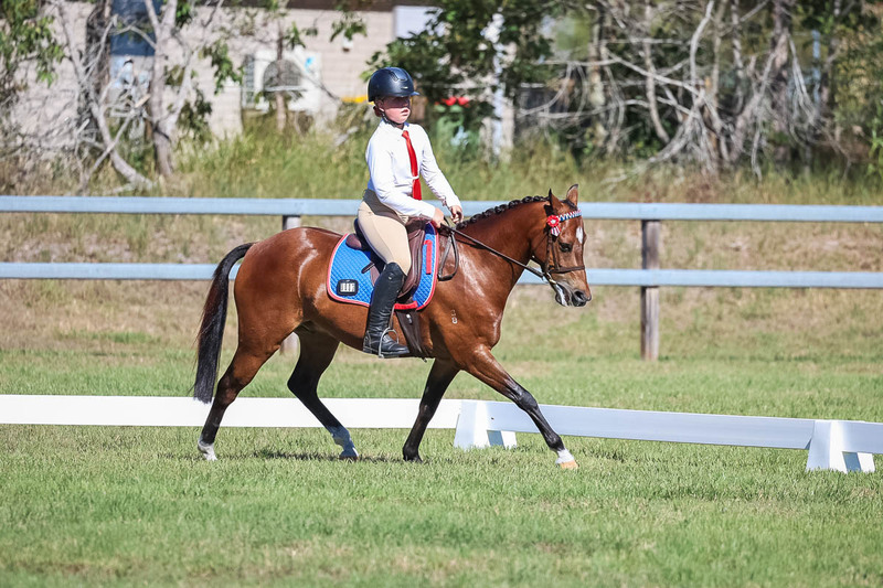 JPC Feb 2026 Dressage-7207.jpg