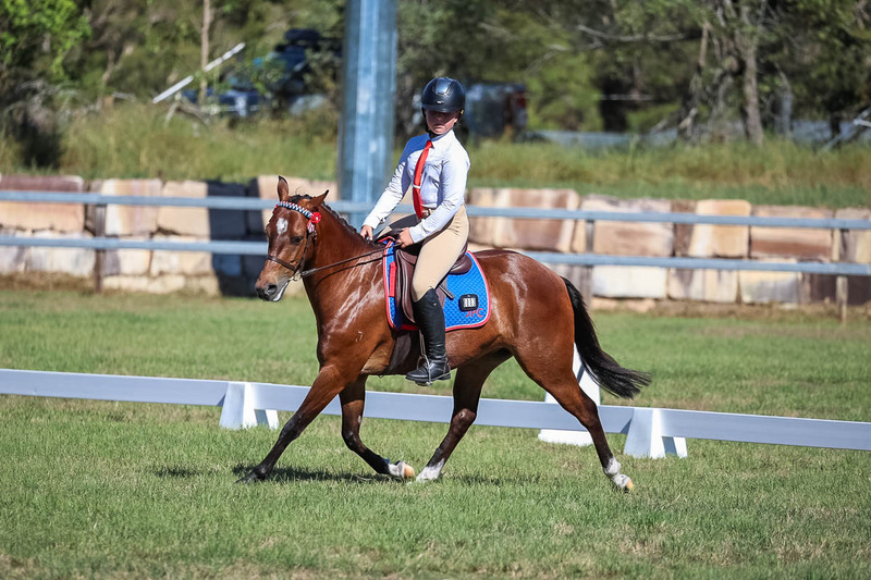 JPC Feb 2026 Dressage-7208.jpg