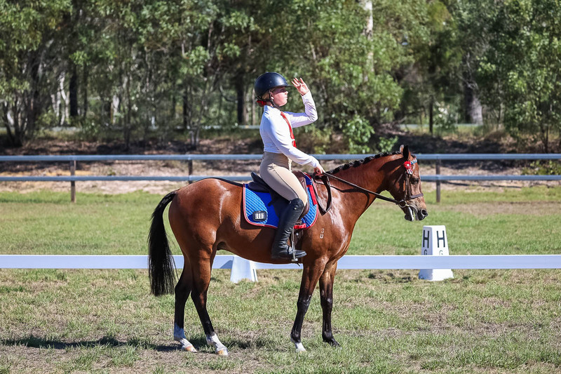 JPC Feb 2026 Dressage-7209.jpg