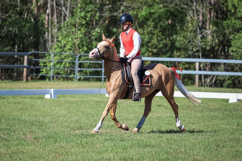 JPC Feb 2026 Dressage-7215.jpg