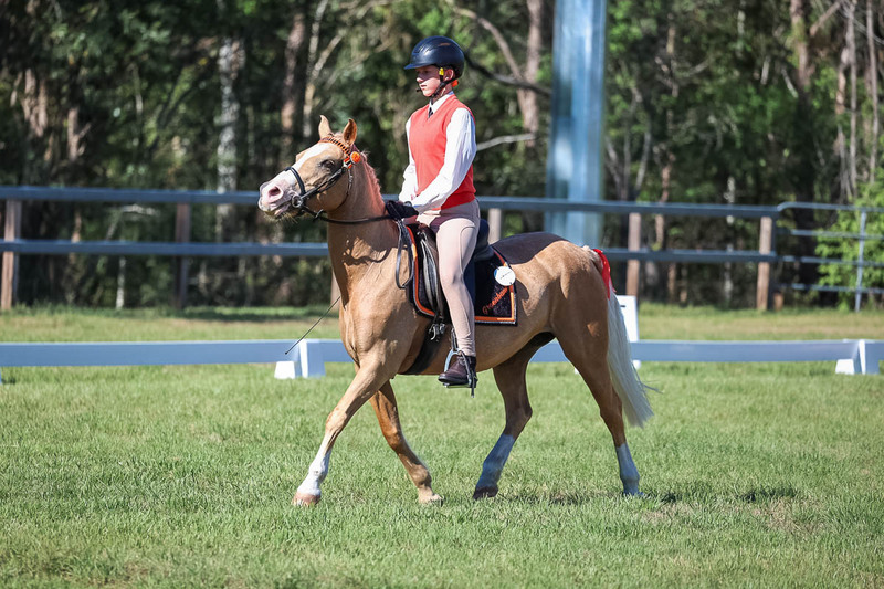 JPC Feb 2026 Dressage-7216.jpg