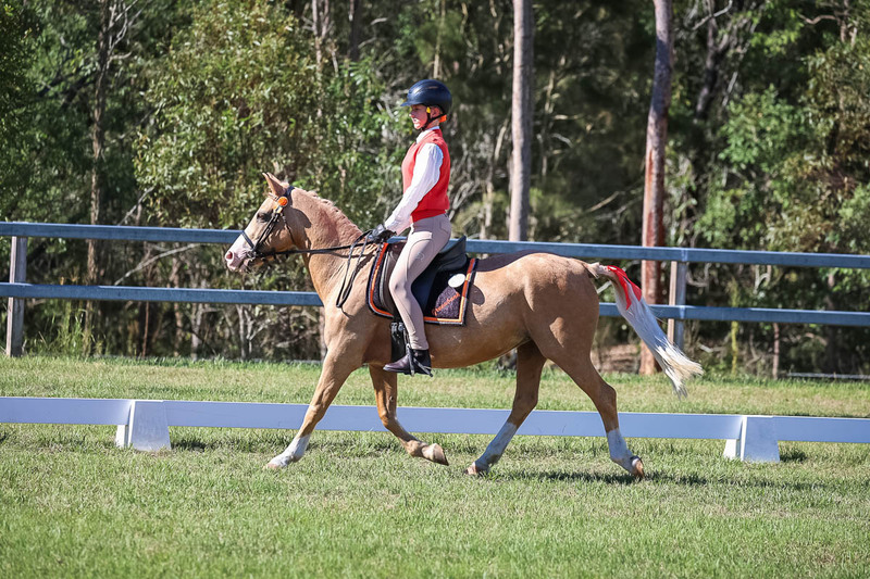 JPC Feb 2026 Dressage-7217.jpg