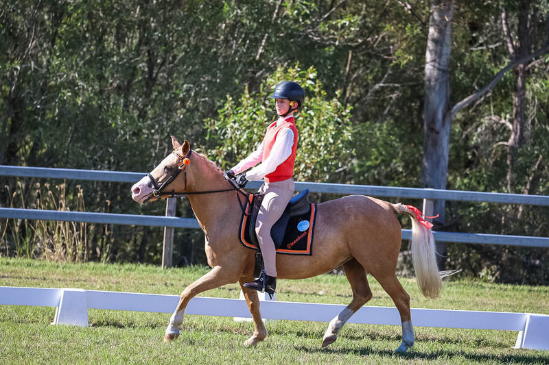JPC Feb 2026 Dressage-7220.jpg