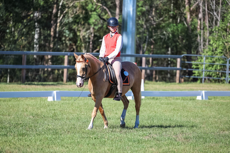 JPC Feb 2026 Dressage-7221.jpg