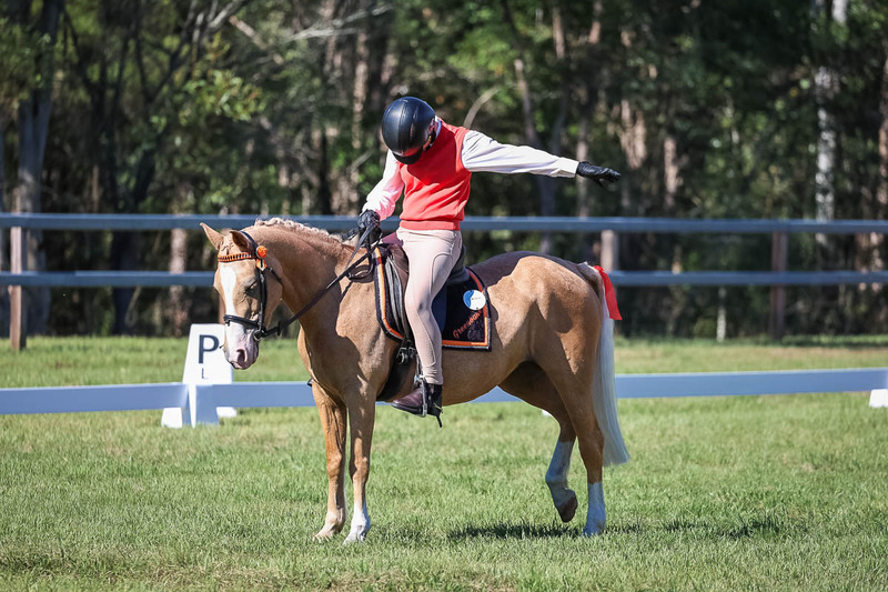 JPC Feb 2026 Dressage-7222.jpg