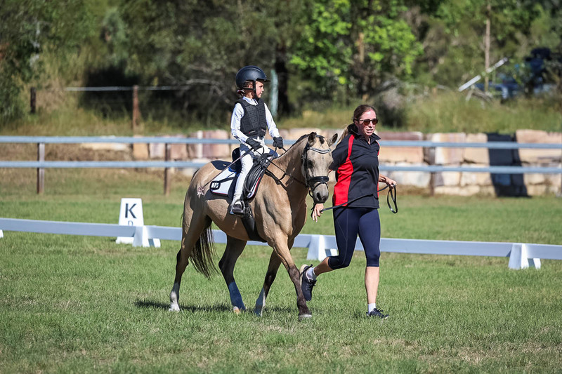 JPC Feb 2026 Dressage-7224.jpg