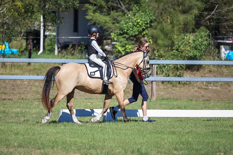 JPC Feb 2026 Dressage-7226.jpg
