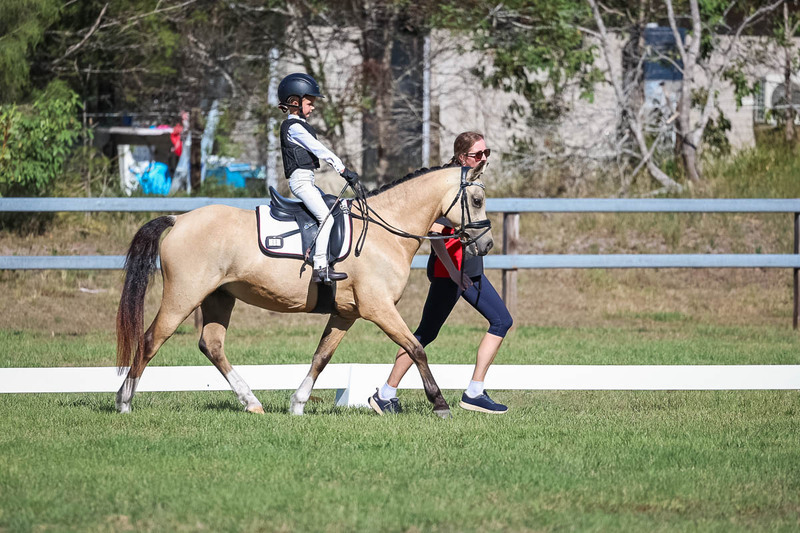 JPC Feb 2026 Dressage-7227.jpg