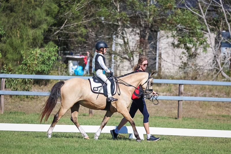 JPC Feb 2026 Dressage-7229.jpg
