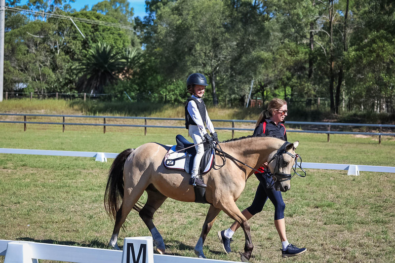 JPC Feb 2026 Dressage-7231.jpg