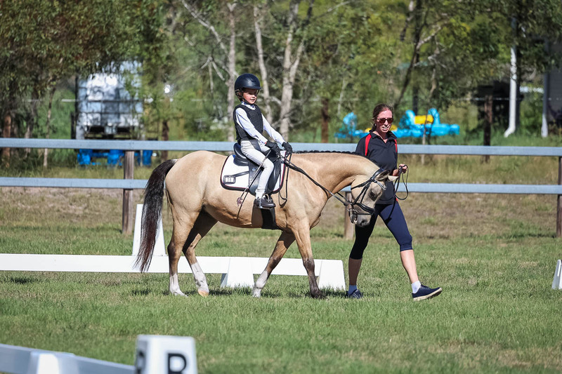 JPC Feb 2026 Dressage-7233.jpg