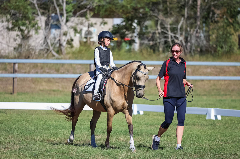 JPC Feb 2026 Dressage-7235.jpg